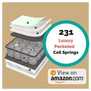 Best Crib Mattress Simmons Kids Beautyrest Beginnings Sleepy Whispers Ultra Deluxe 2 n 1 Crib Mattress Spring Coils