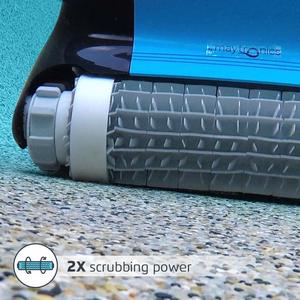 Dolphin Nautilus CC Plus Review - Brushes