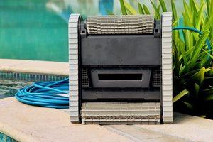 Dolphin Triton PS Plus Review - Brushes