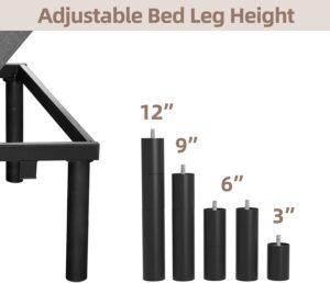 Mecor Adjustable Bed Frame Review - Height Adjustability