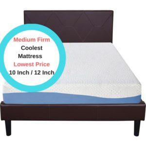 Olee Sleep 10 inch & 12 inch Gel Memory Foam Mattress Review