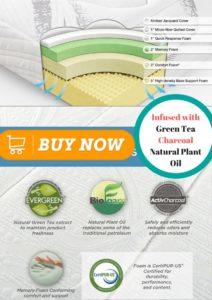 Zinus 12-Inch Queen Ultra Plush Memory Cloud-like Foam Mattress